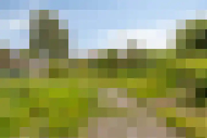 In 't Rietwerf 36 Hank thumbnail 42