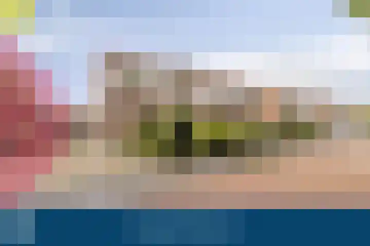 In 't Rietwerf 36 Hank thumbnail 5