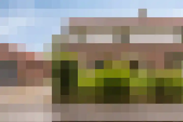 In 't Rietwerf 36 Hank thumbnail 8
