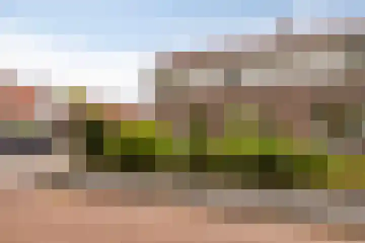 In 't Rietwerf 36 Hank thumbnail 9