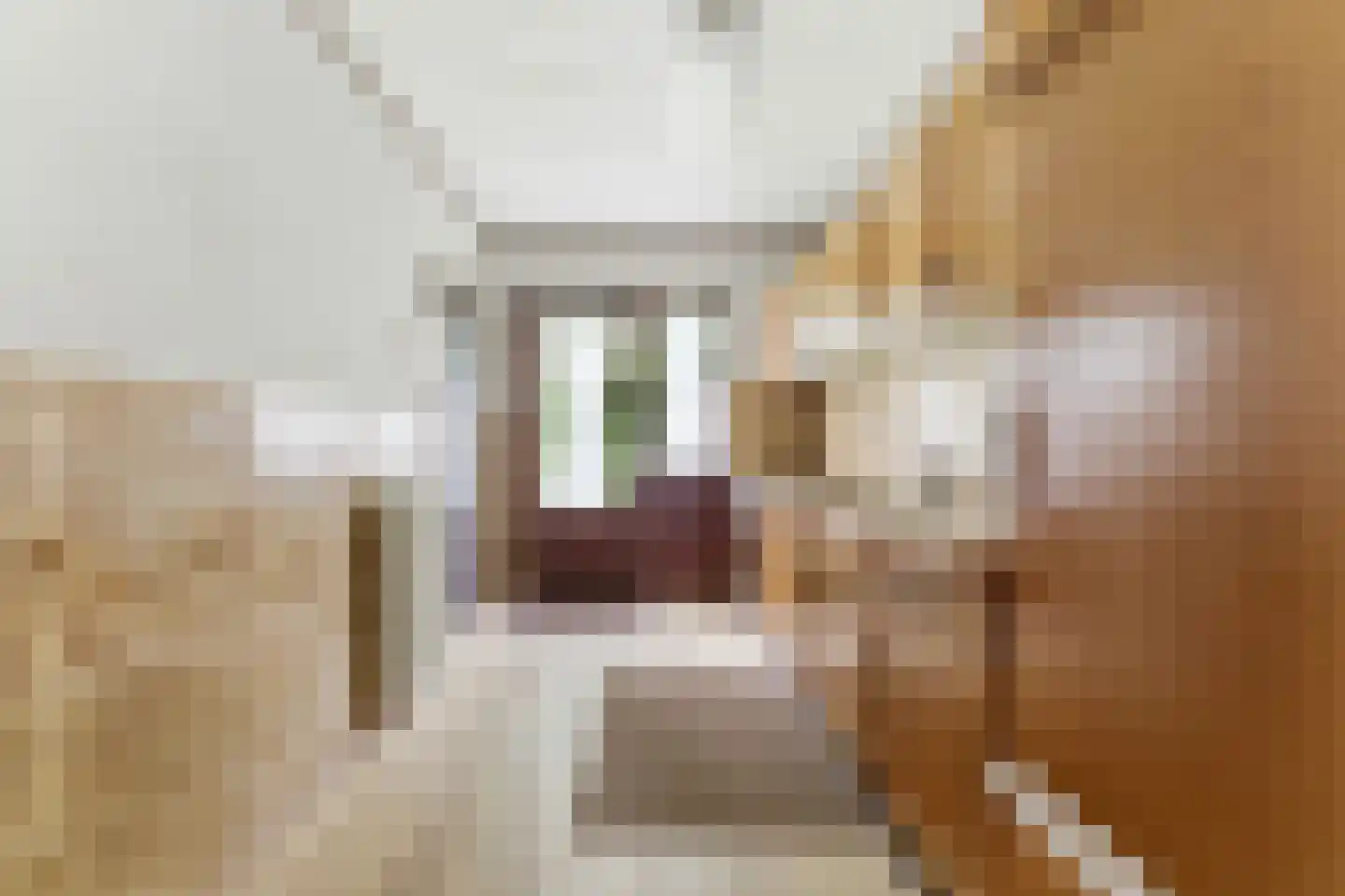 In 't Veldstraat 10 's-Gravendeel thumbnail 15