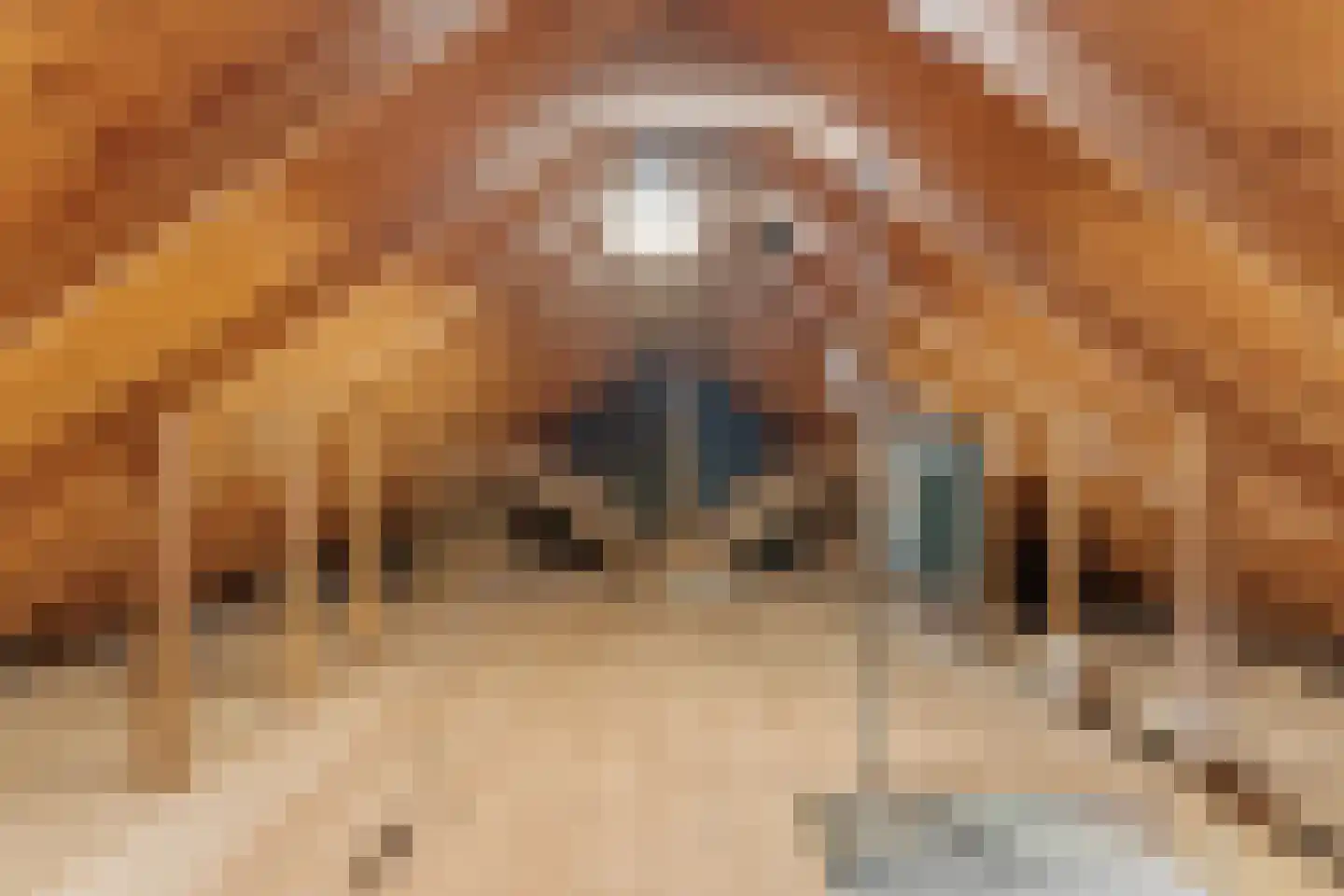 In 't Veldstraat 10 's-Gravendeel thumbnail 31