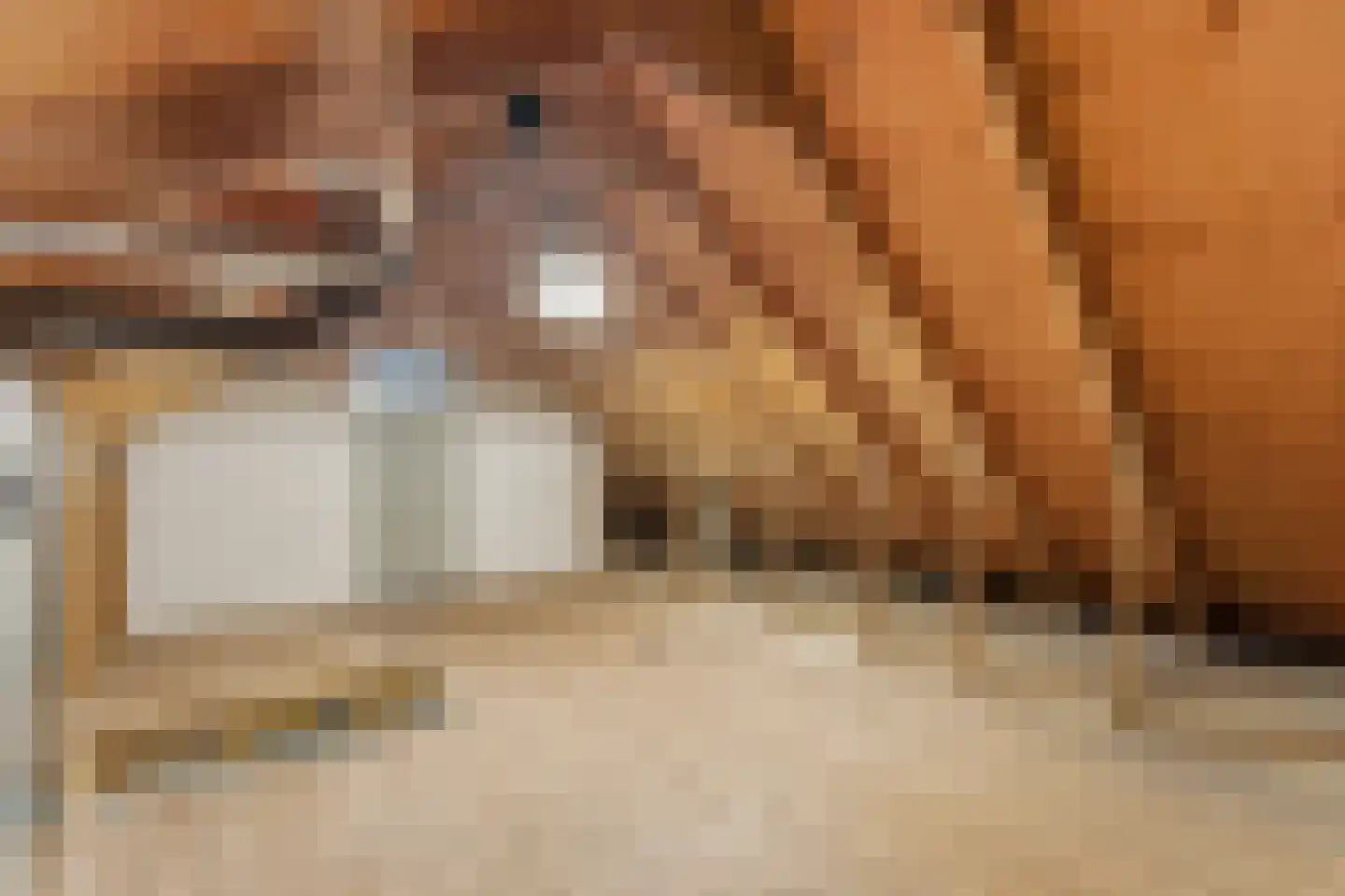 In 't Veldstraat 10 's-Gravendeel thumbnail 32