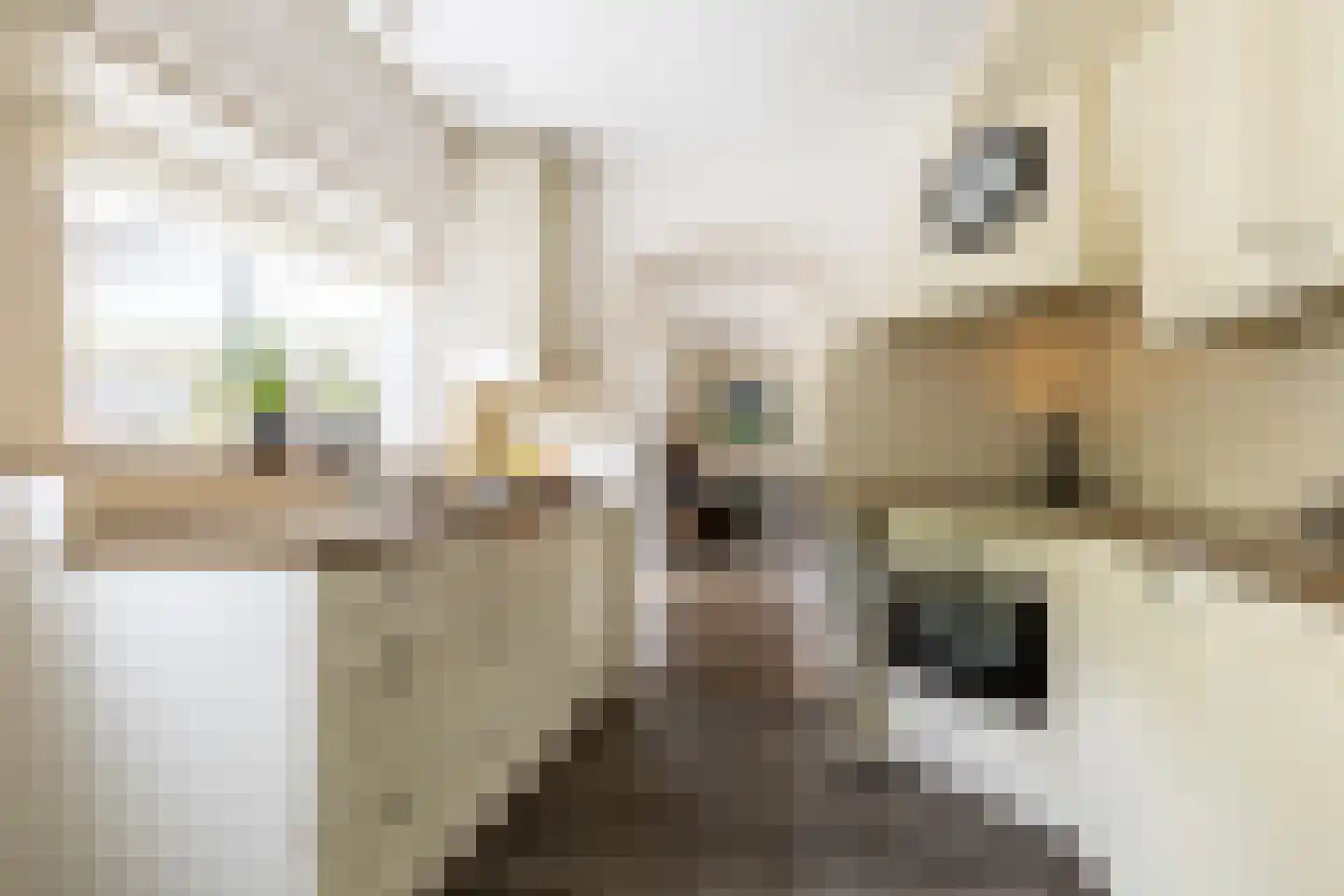 In 't Veldstraat 12 's-Gravendeel thumbnail 14