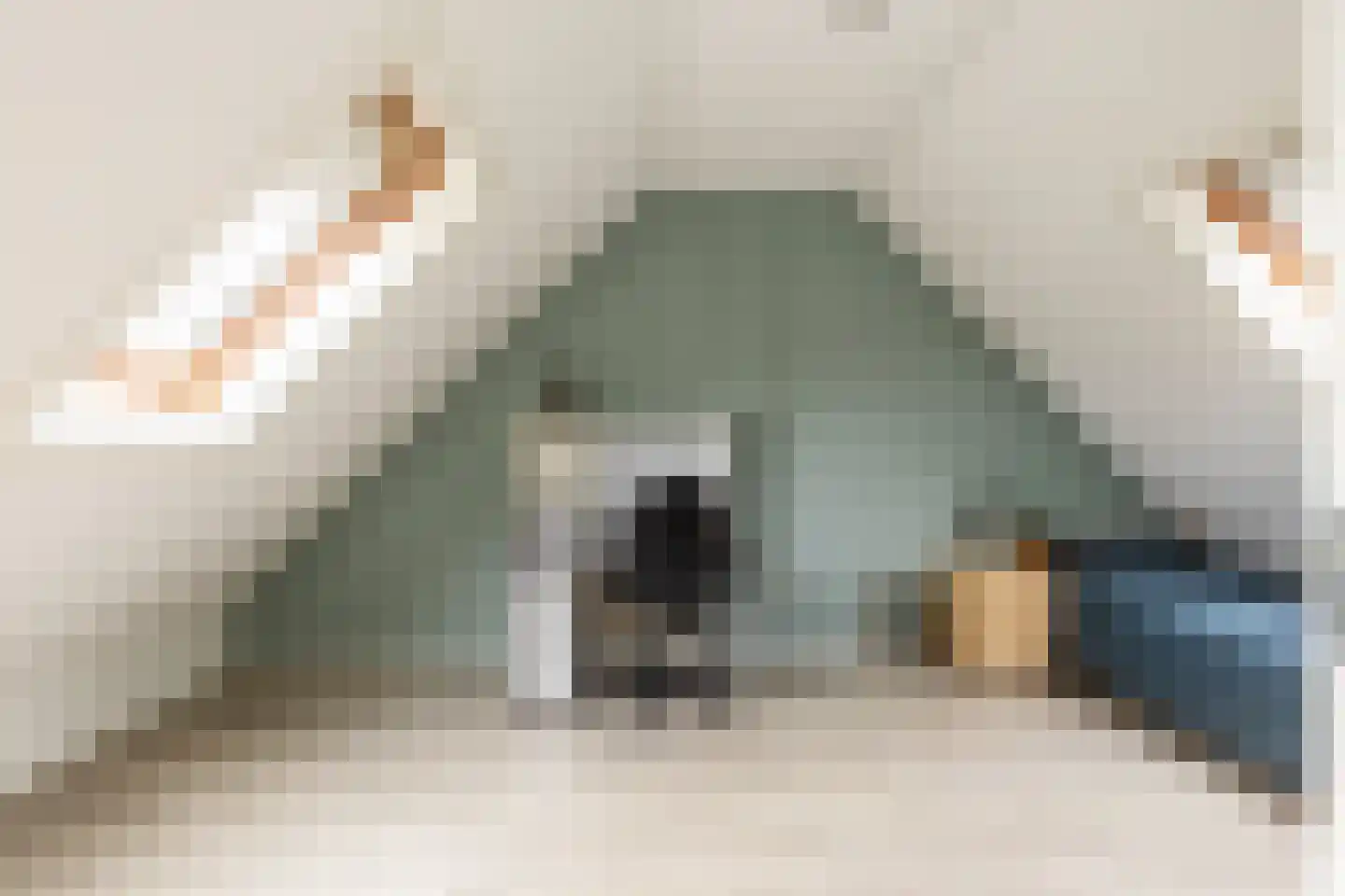 In 't Veldstraat 12 's-Gravendeel thumbnail 36