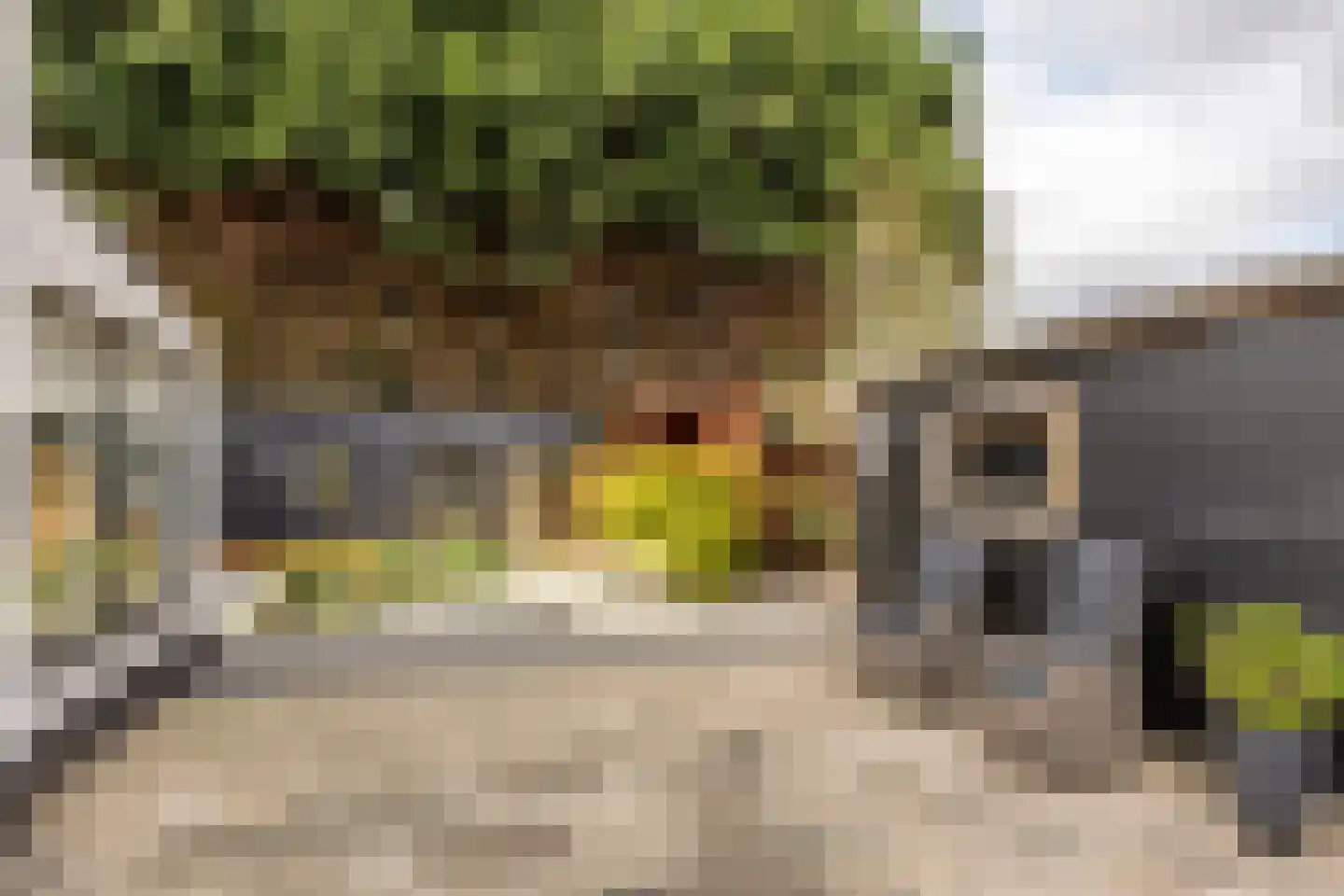 In 't Veldstraat 12 's-Gravendeel thumbnail 39