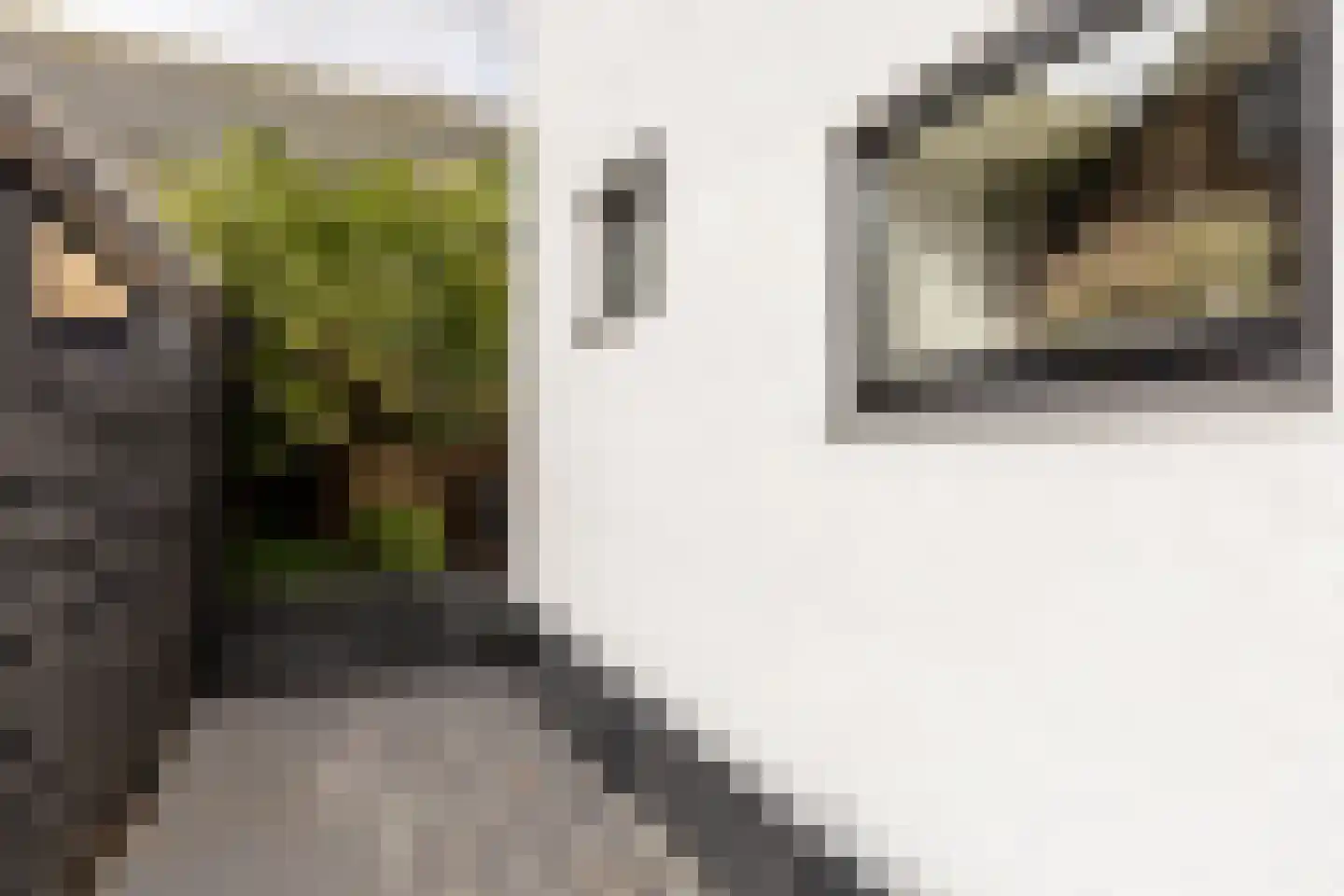 In 't Veldstraat 12 's-Gravendeel thumbnail 40