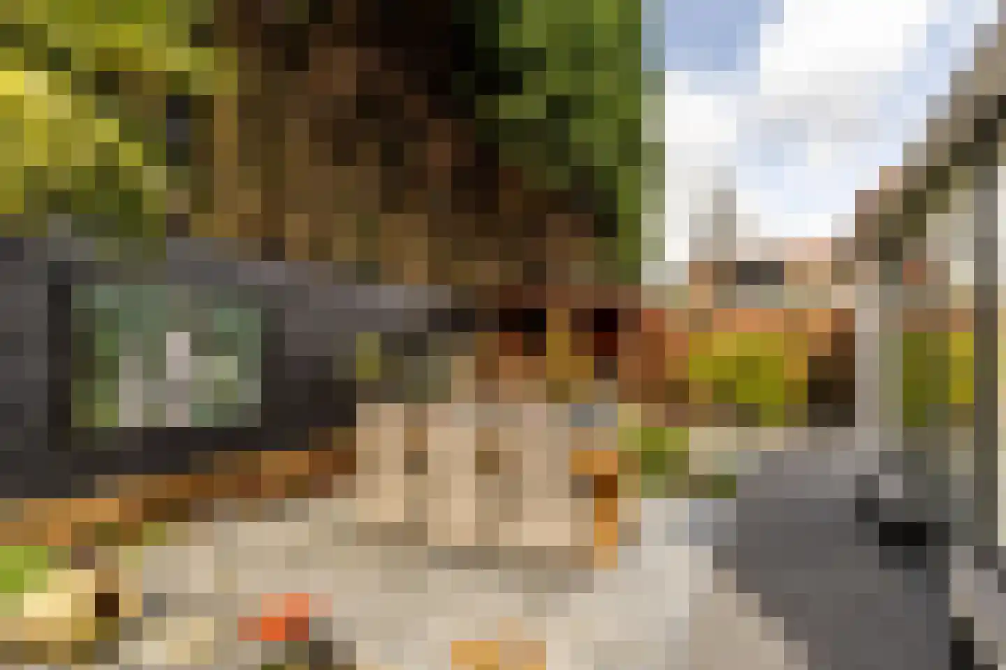 In 't Veldstraat 12 's-Gravendeel thumbnail 41