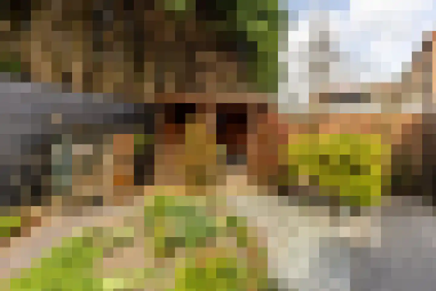 In 't Veldstraat 12 's-Gravendeel thumbnail 42