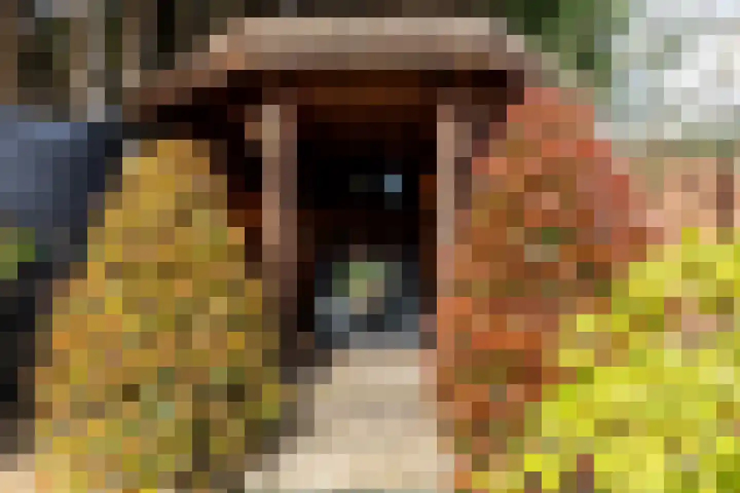 In 't Veldstraat 12 's-Gravendeel thumbnail 43
