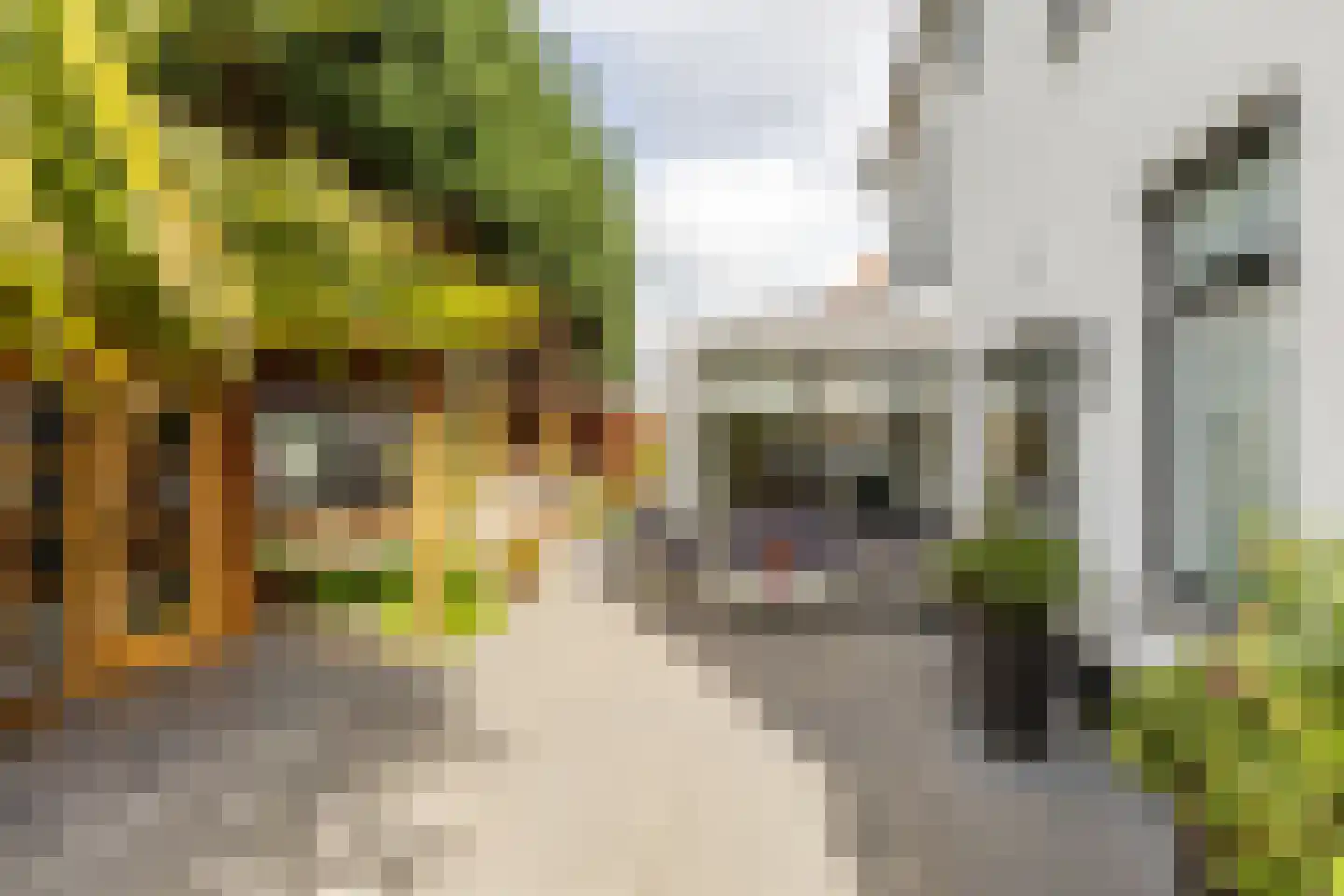 In 't Veldstraat 12 's-Gravendeel thumbnail 45