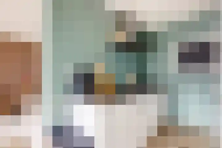 In 't Veldstraat 47 's-Gravendeel thumbnail 8