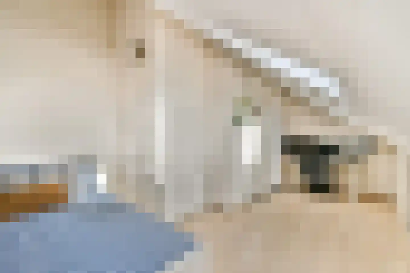 Ina Boudier-Bakkerdreef 16 Hoofddorp thumbnail 62