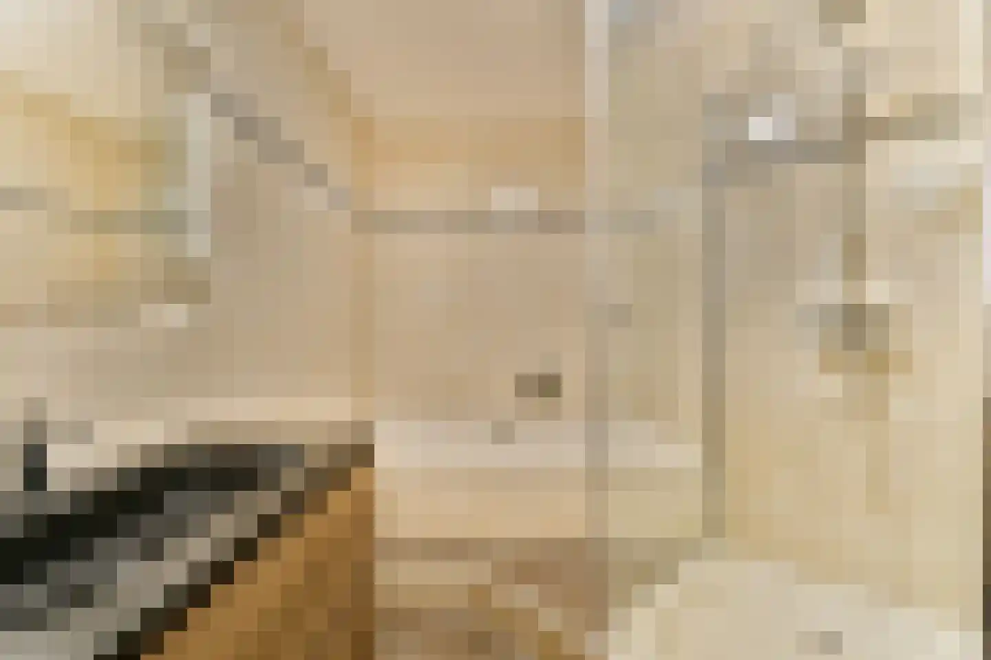 Ina Boudier-Bakkerdreef 16 Hoofddorp thumbnail 66