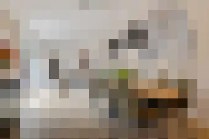Ina Boudier-Bakkerdreef 4 Hoofddorp thumbnail 10