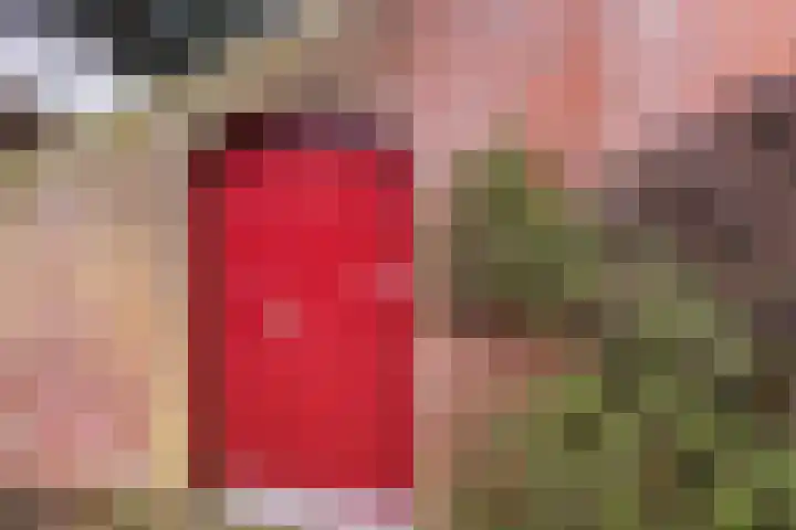 Ina Boudier-Bakkerdreef 4 Hoofddorp thumbnail 35