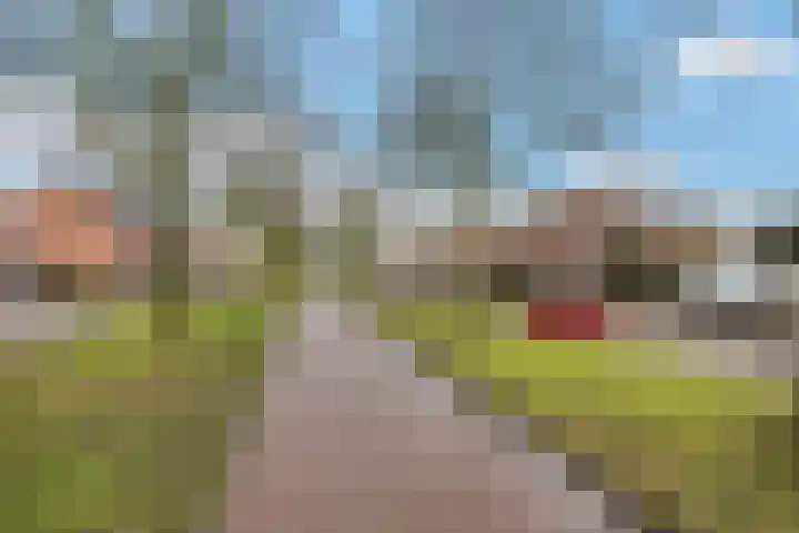 Ina Boudier-Bakkerdreef 4 Hoofddorp thumbnail 43