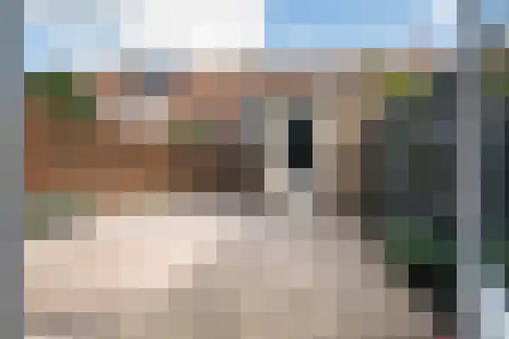 Ina Boudier-Bakkerdreef 53 Hoofddorp thumbnail 7