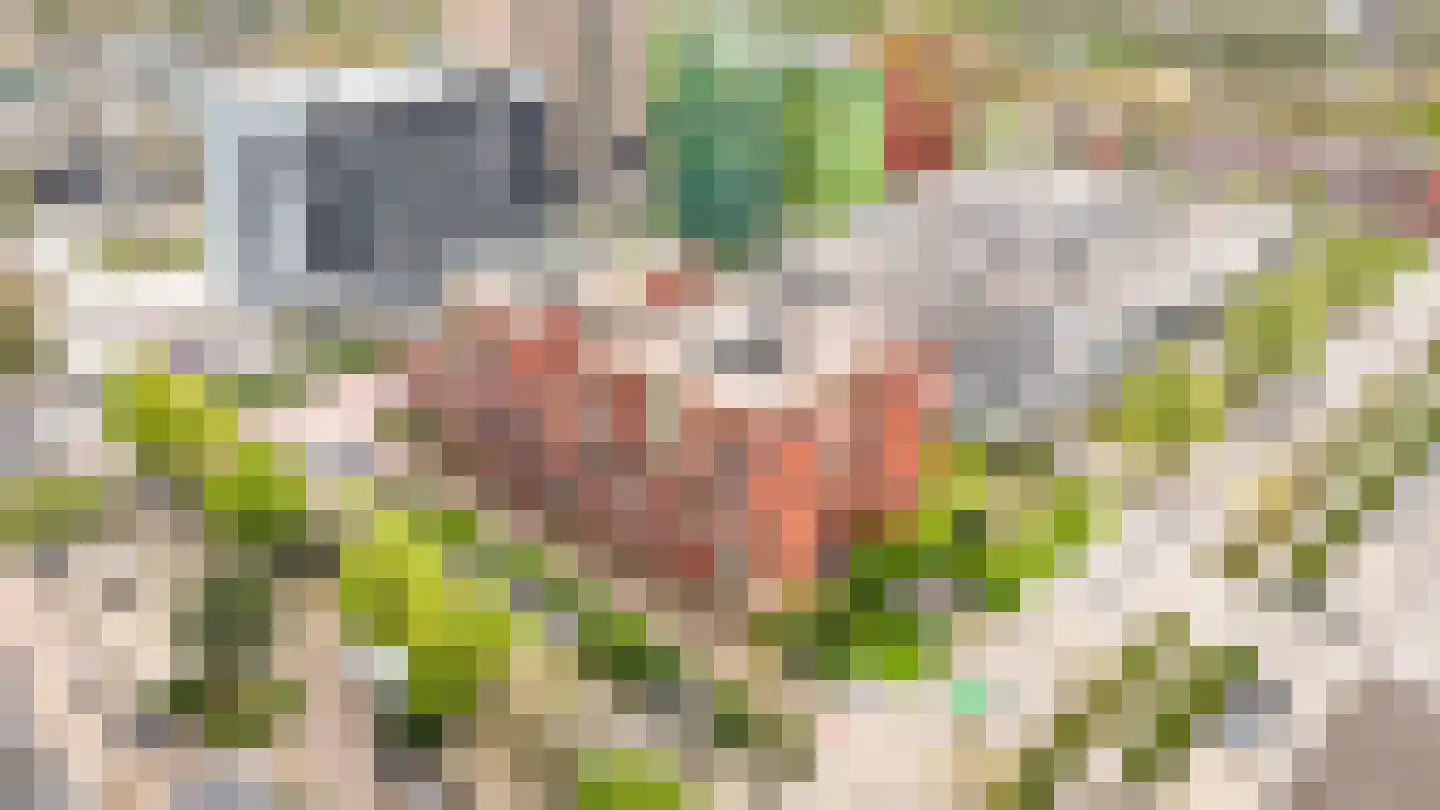 Ina Boudier-Bakkerlaan 14 A Utrecht thumbnail 35