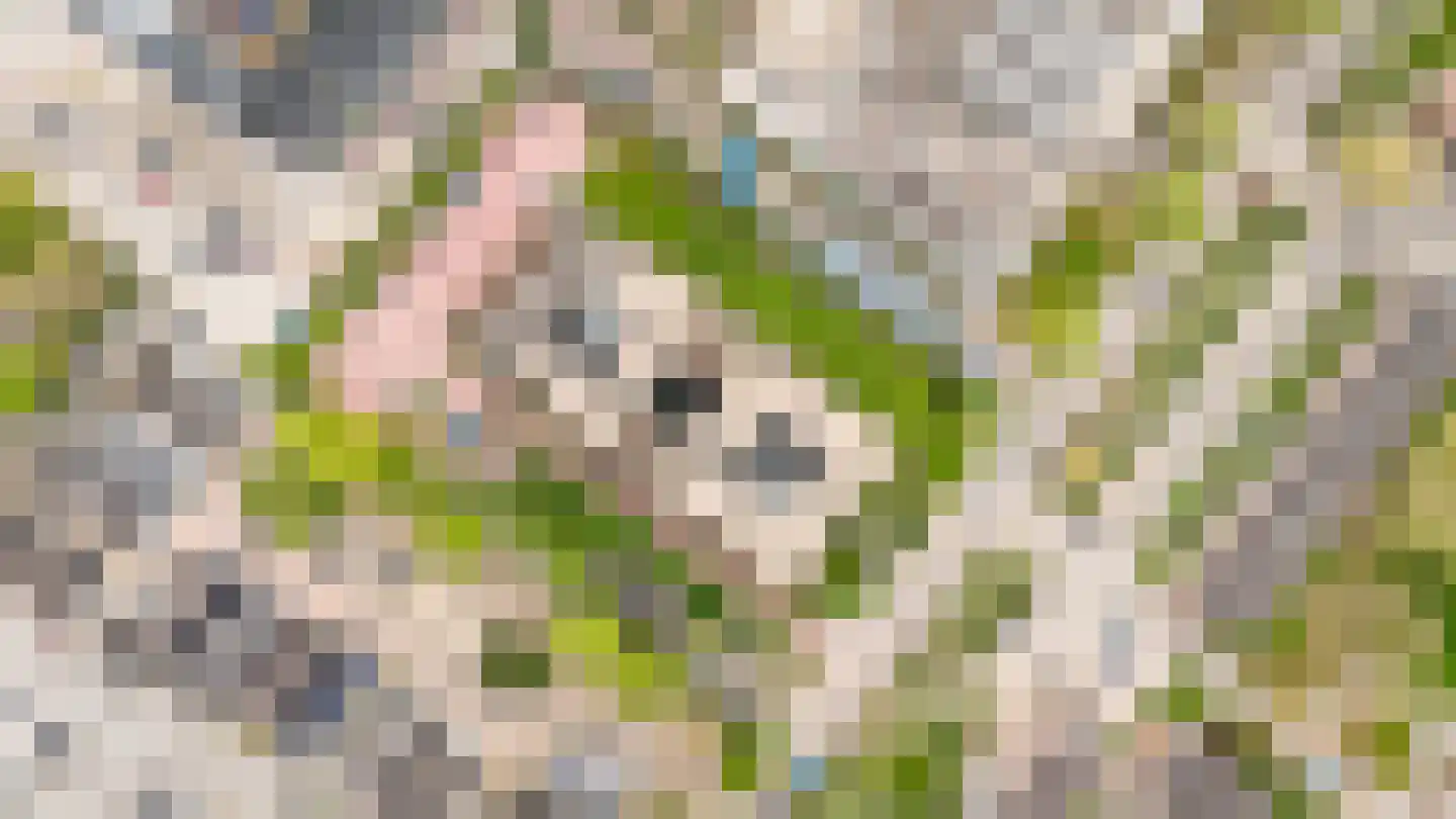 Ina Boudier-Bakkerlaan 14 A Utrecht thumbnail 37