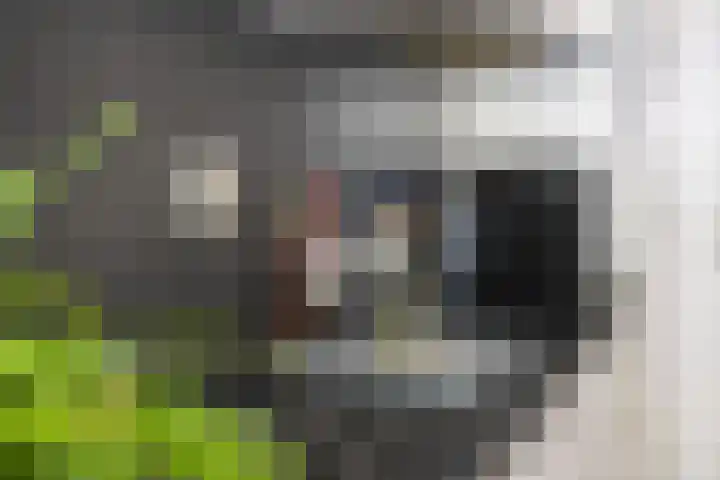 Ina Boudier-Bakkerlaan 14 B Utrecht thumbnail 15