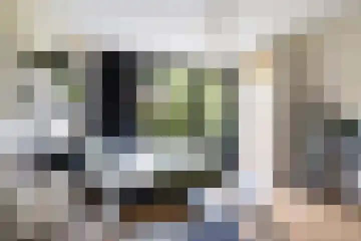 Ina Boudier-Bakkerlaan 14 B Utrecht thumbnail 17