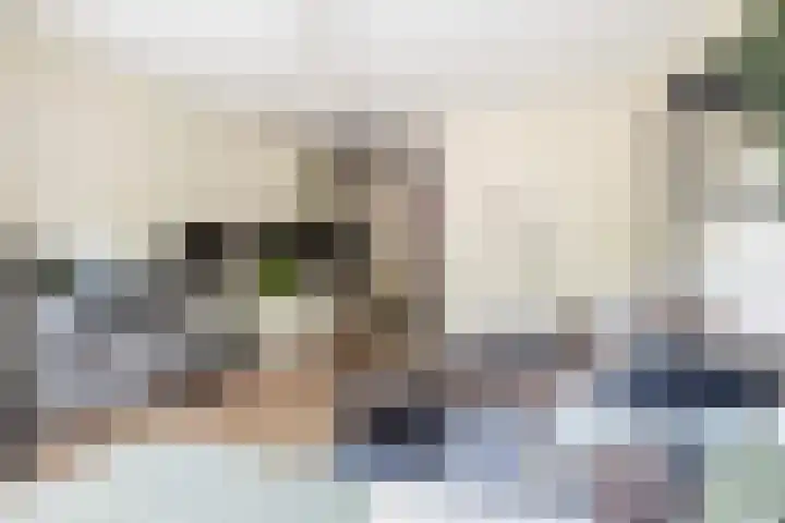 Ina Boudier-Bakkerlaan 14 B Utrecht thumbnail 20