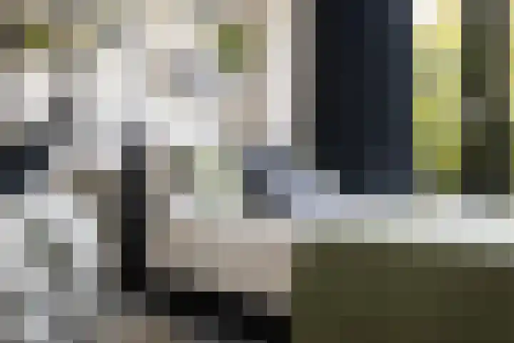 Ina Boudier-Bakkerlaan 14 B Utrecht thumbnail 23