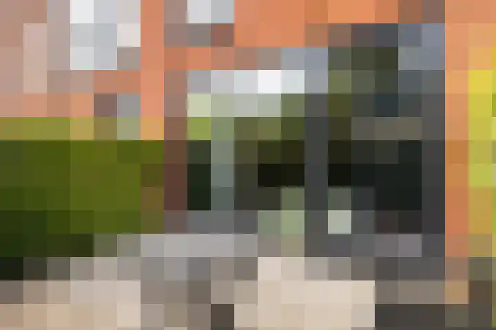 Ina Boudier-Bakkerlaan 14 B Utrecht thumbnail 29