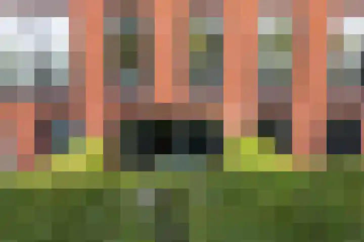 Ina Boudier-Bakkerlaan 14 B Utrecht thumbnail 35