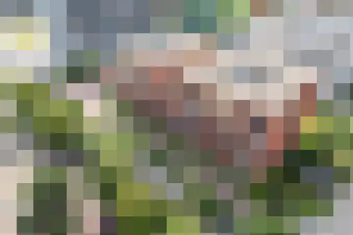 Ina Boudier-Bakkerlaan 14 B Utrecht thumbnail 40