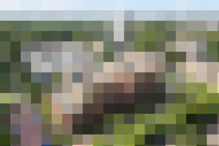 Ina Boudier-Bakkerlaan 14 B Utrecht thumbnail 41