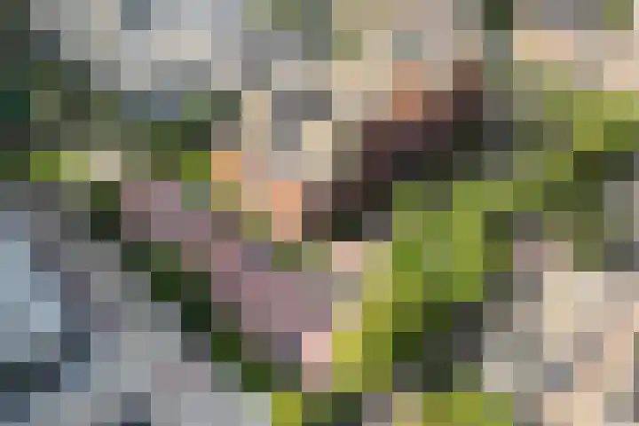 Ina Boudier-Bakkerlaan 14 B Utrecht thumbnail 42