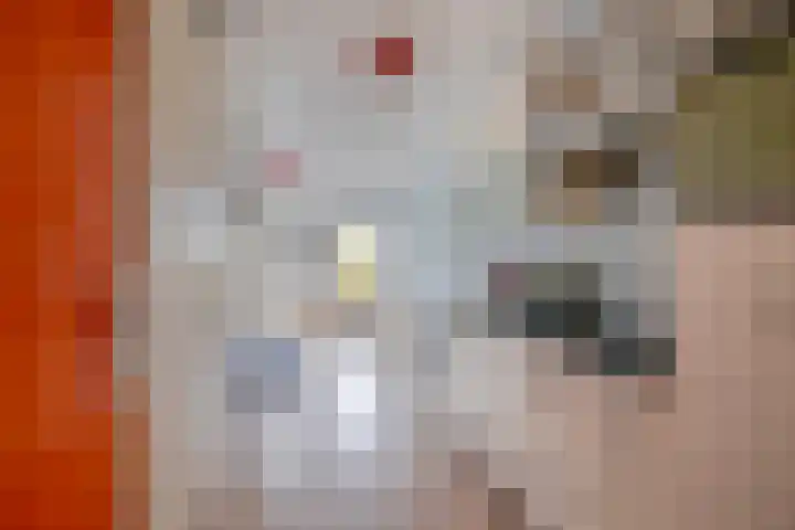 Ina Boudier-Bakkerlaan 18 G Utrecht thumbnail 15