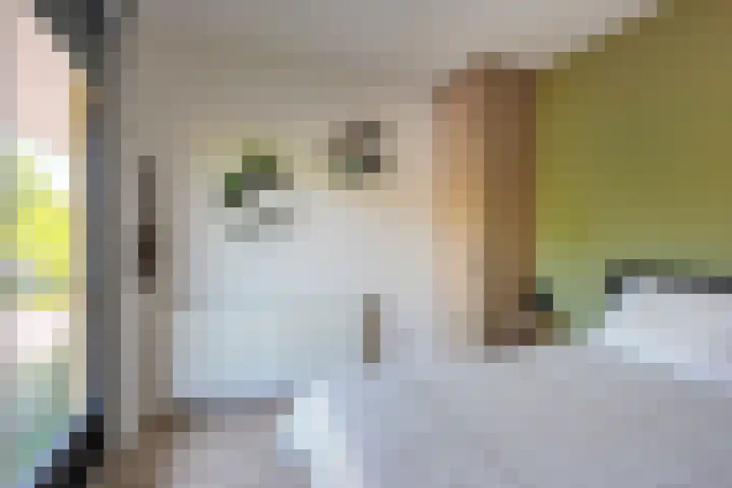Ina Boudier-Bakkerlaan 18 L Utrecht thumbnail 12