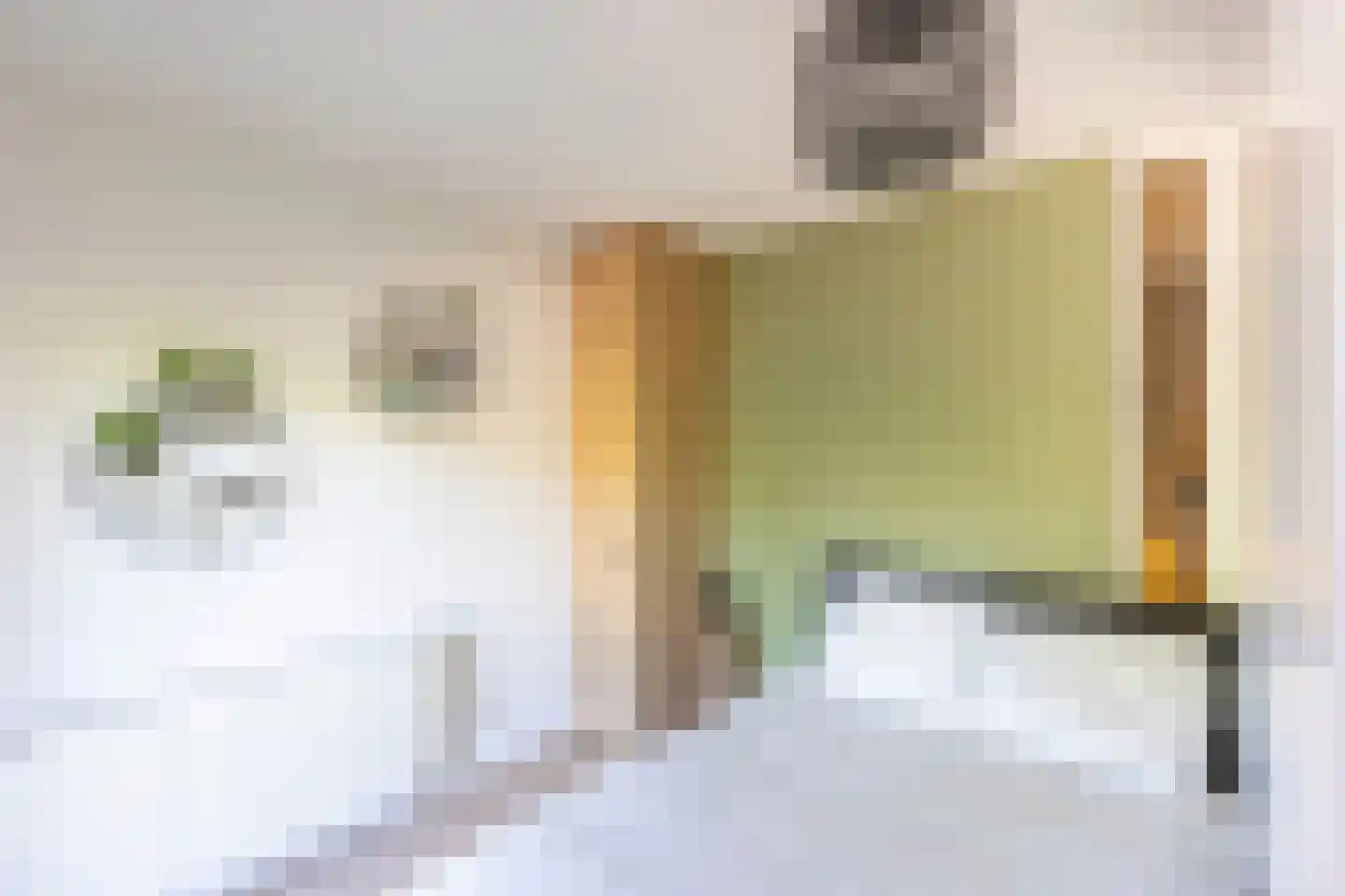 Ina Boudier-Bakkerlaan 18 L Utrecht thumbnail 13