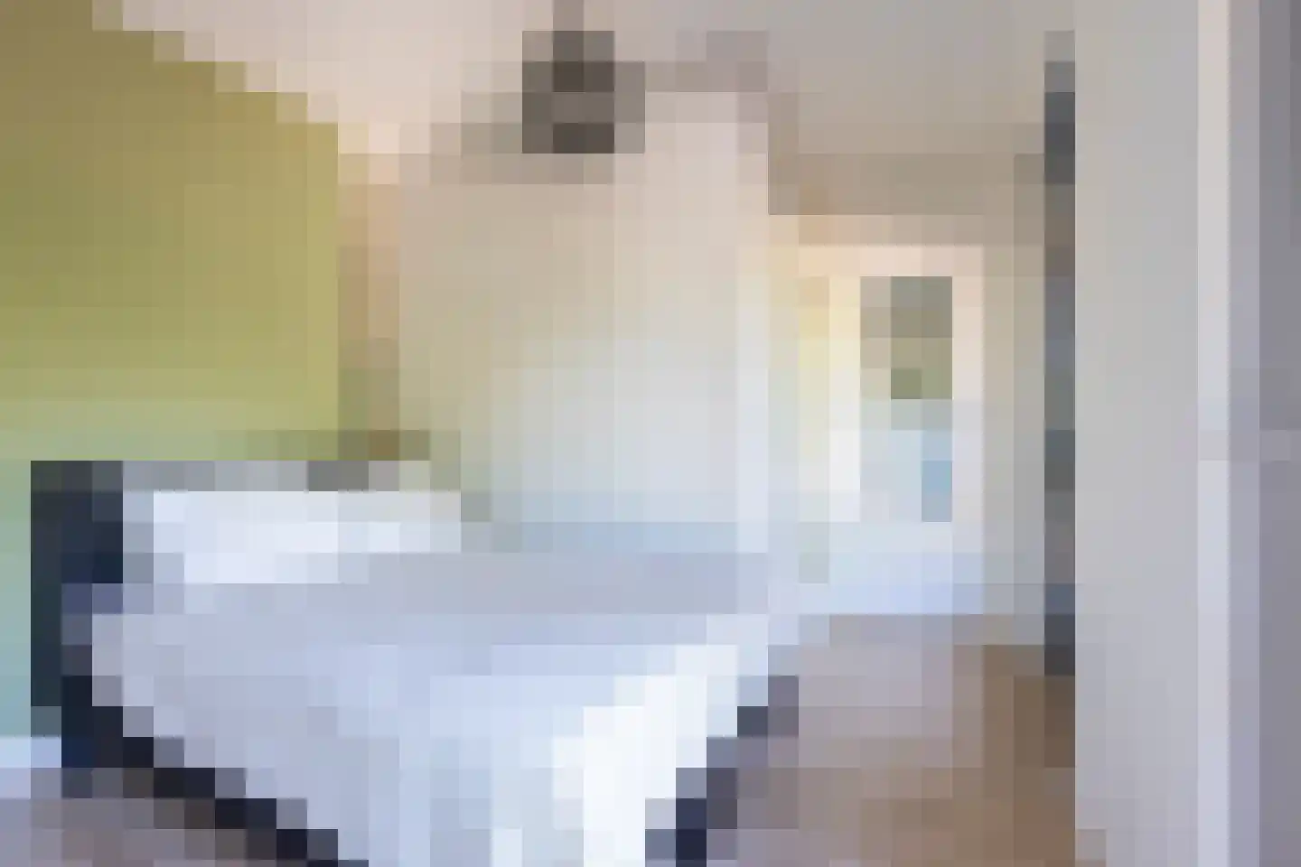 Ina Boudier-Bakkerlaan 18 L Utrecht thumbnail 14