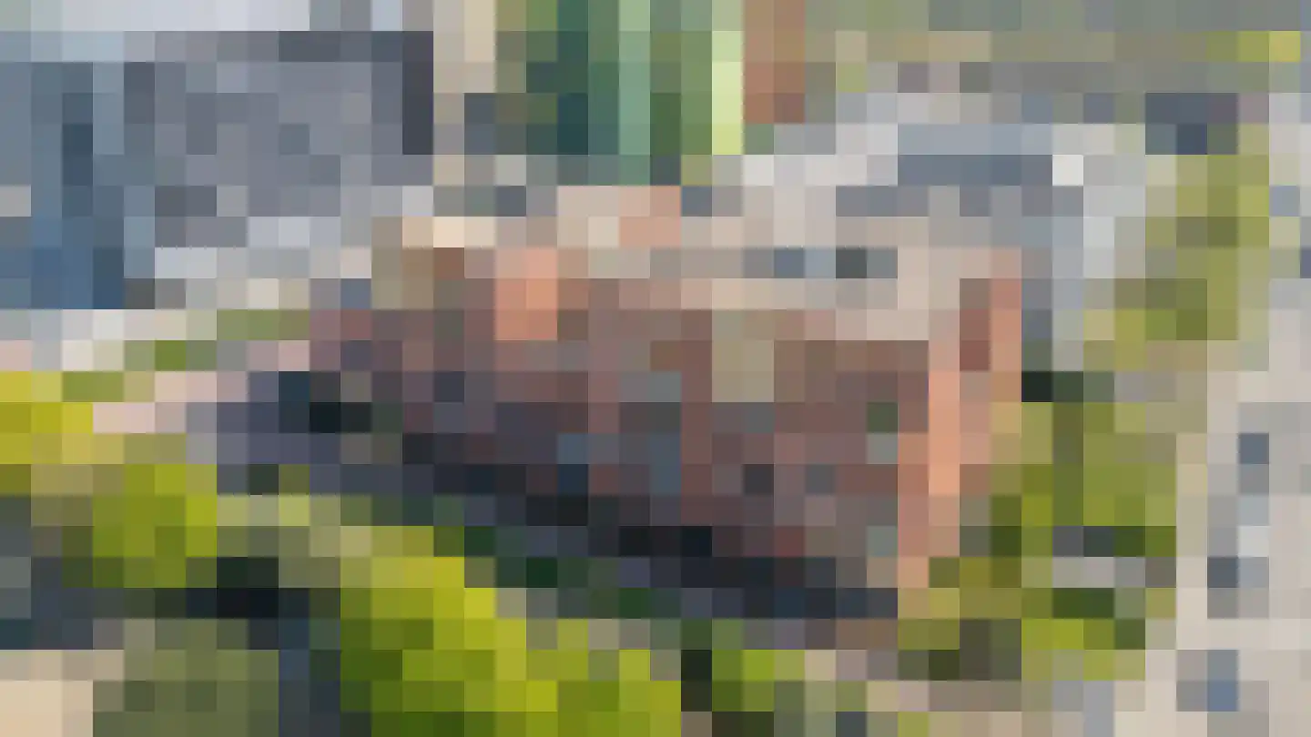 Ina Boudier-Bakkerlaan 18 L Utrecht thumbnail 33