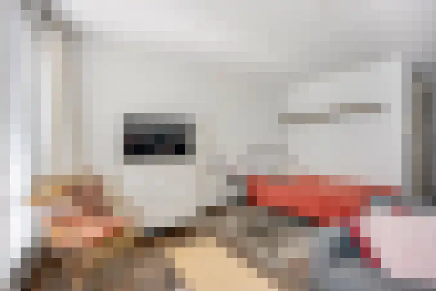 Ina Boudier-Bakkerlaan 20 G Utrecht thumbnail 10