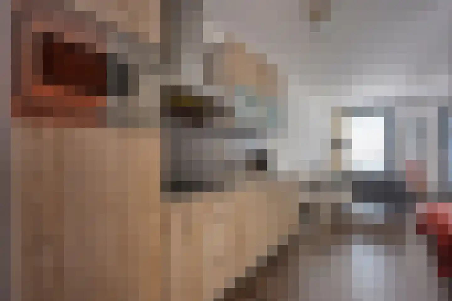Ina Boudier-Bakkerlaan 20 G Utrecht thumbnail 5