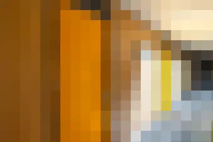 Ina Boudier-Bakkerlaan 22 G Utrecht thumbnail 13