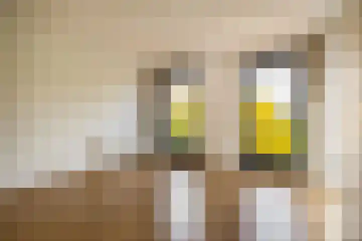 Ina Boudier-Bakkerlaan 22 G Utrecht thumbnail 13