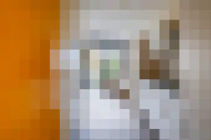 Ina Boudier-Bakkerlaan 22 G Utrecht thumbnail 14