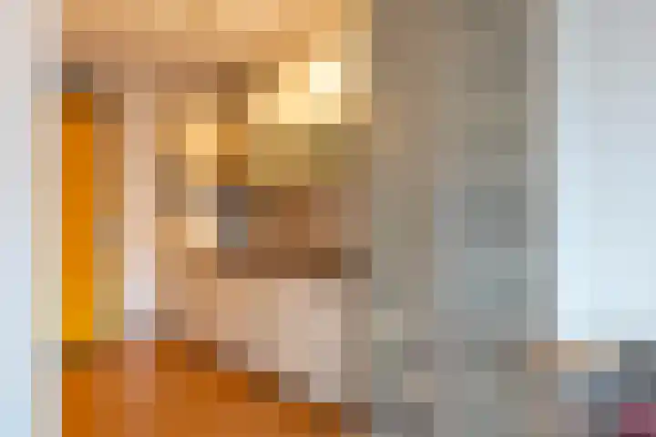 Ina Boudier-Bakkerlaan 22 G Utrecht thumbnail 16