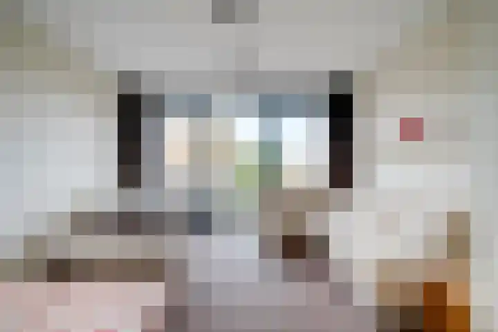 Ina Boudier-Bakkerlaan 22 G Utrecht thumbnail 16