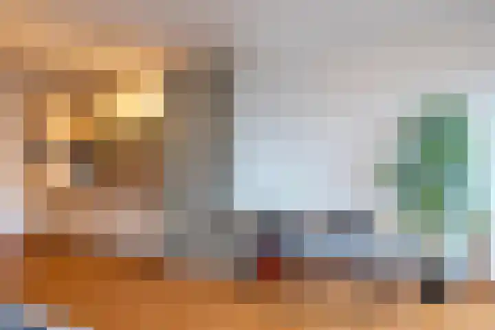Ina Boudier-Bakkerlaan 22 G Utrecht thumbnail 17
