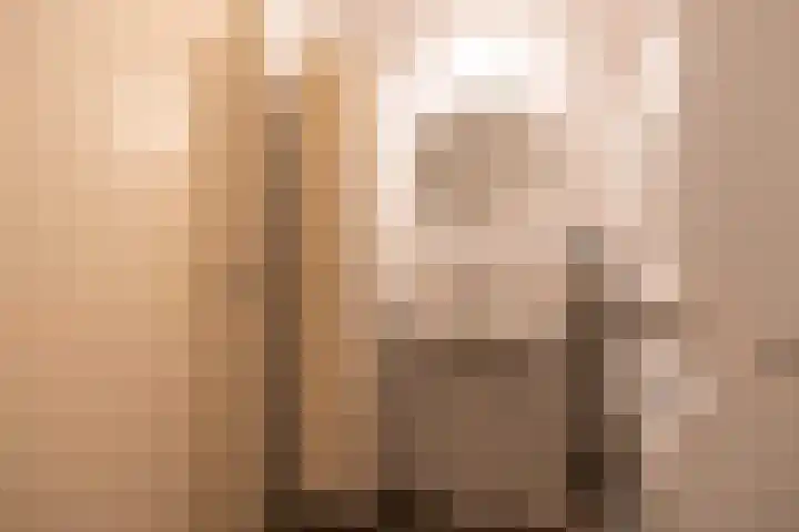 Ina Boudier-Bakkerlaan 22 G Utrecht thumbnail 21
