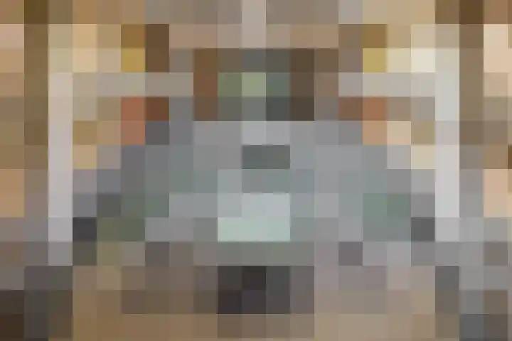 Ina Boudier-Bakkerlaan 22 G Utrecht thumbnail 24