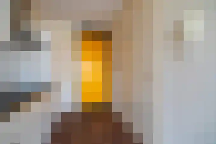 Ina Boudier-Bakkerlaan 22 G Utrecht thumbnail 24