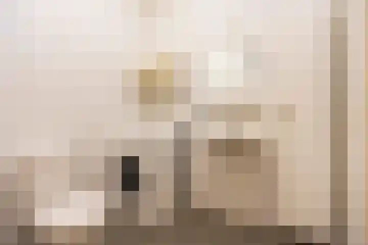 Ina Boudier-Bakkerlaan 22 G Utrecht thumbnail 26